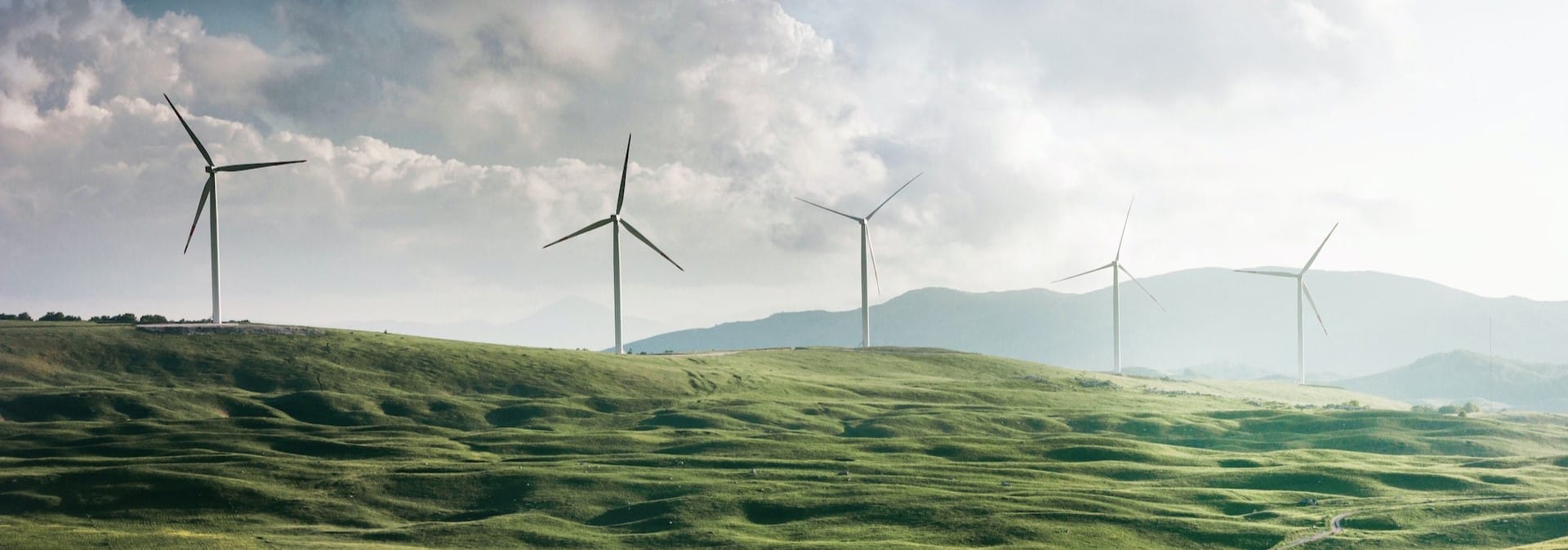 Carbon Capture Carbon Negative