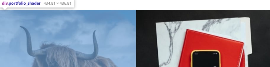 Resize images developer console