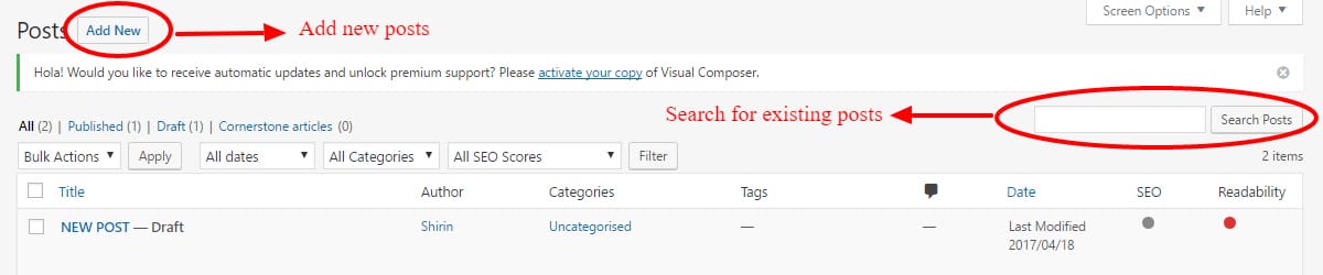 posts page WP