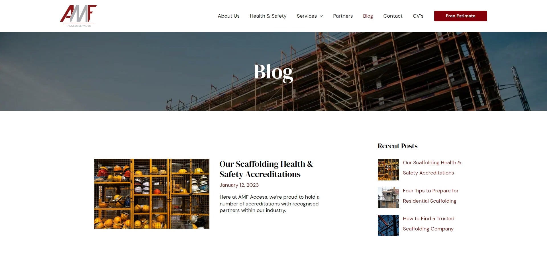 AMF Access Website Development jpg (3)