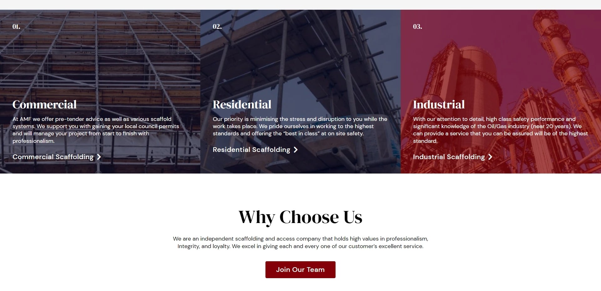 AMF Access Website Development jpg (7)