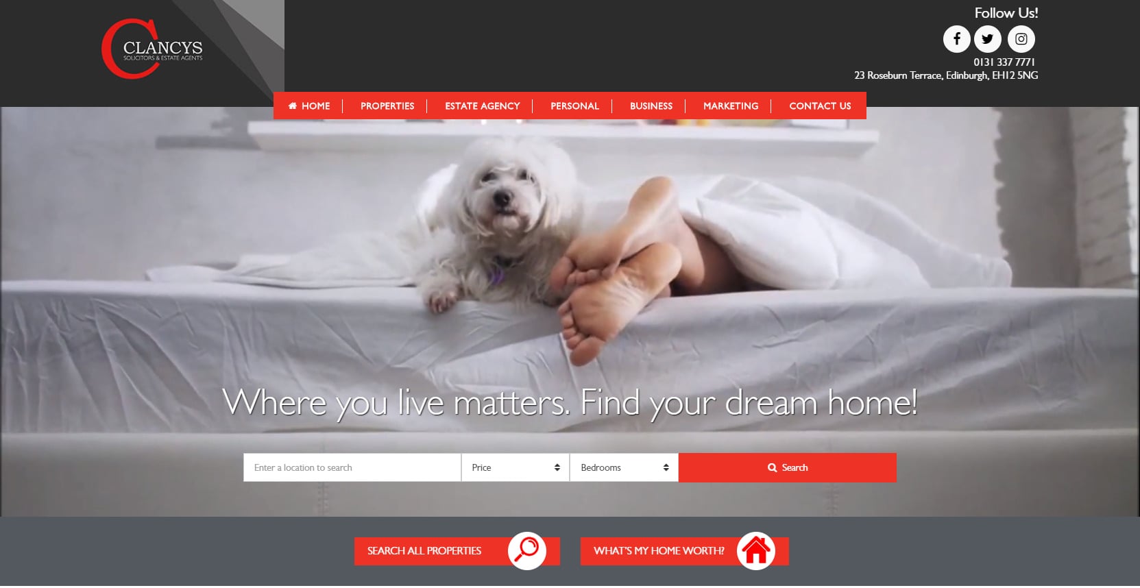 Clancys Solicitors and Estate Agents Dog