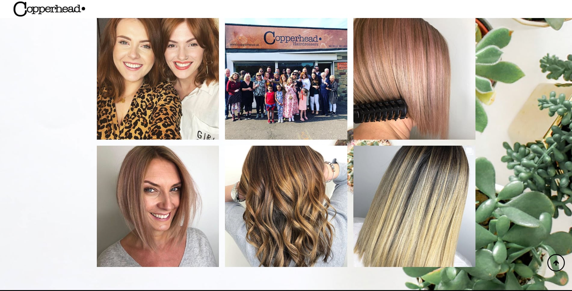 copperhead hairdressers website design