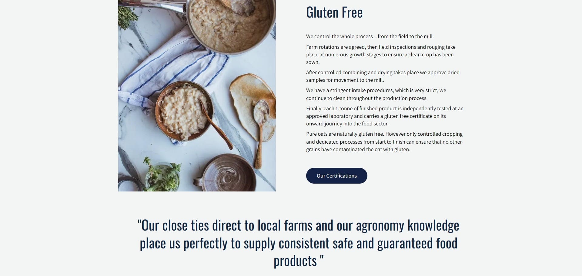 John Hogarth Website Design Services