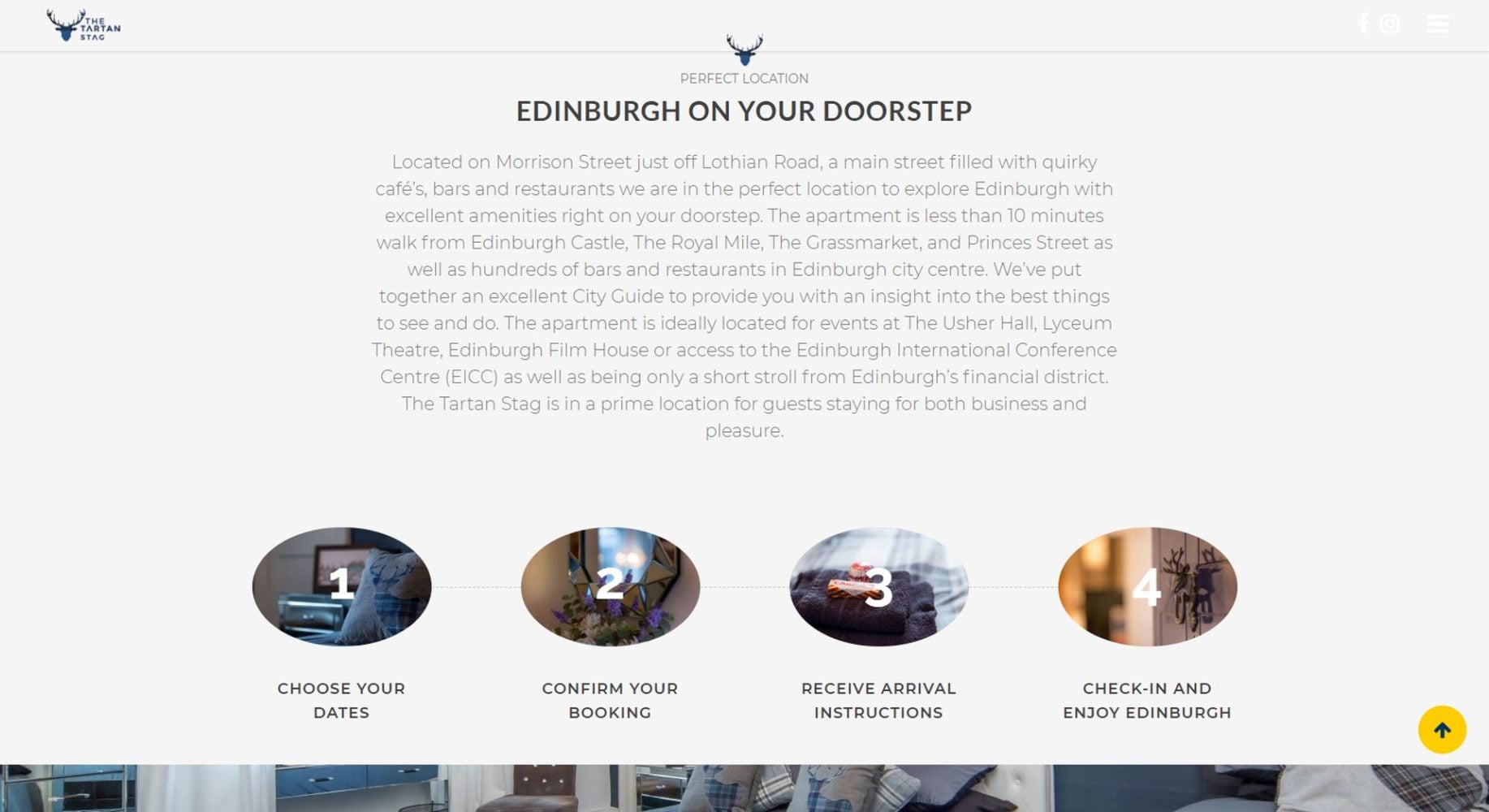 Tartan Stag Website Design Next Steps