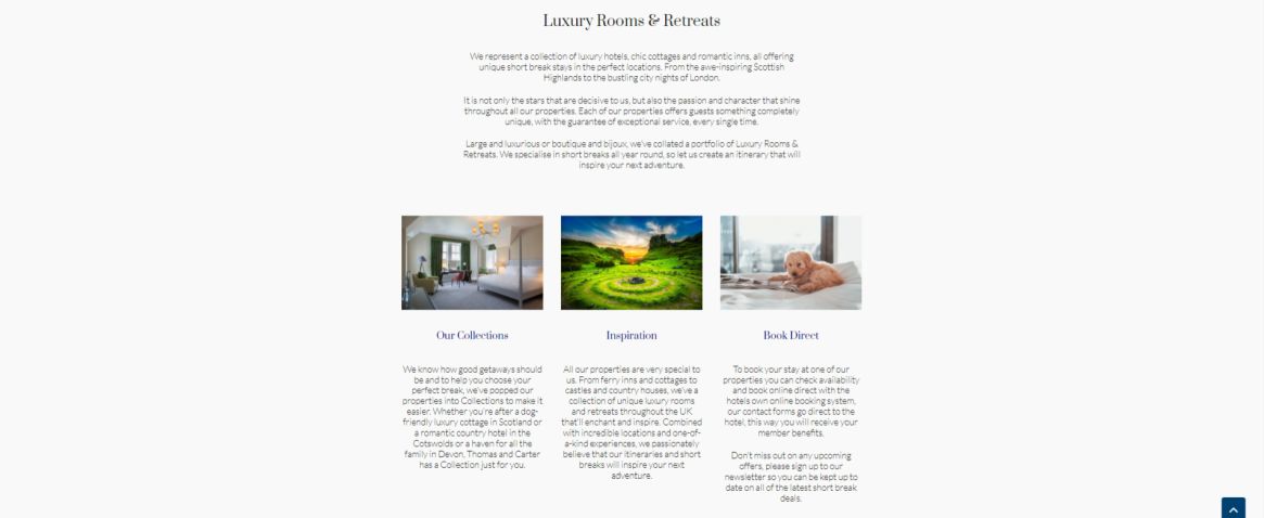 Thomas & Carter Website Design About